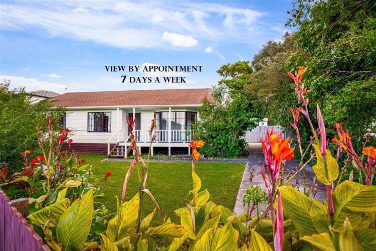 96a Sturges Road Henderson_0