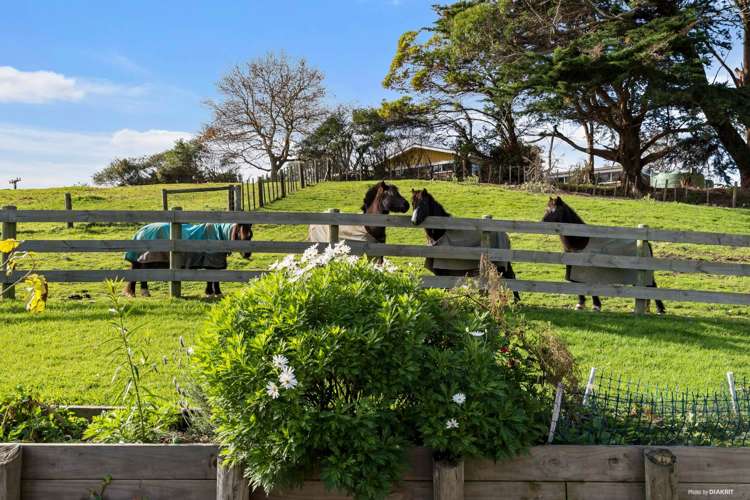 6 Puketiro Road Whitford_16