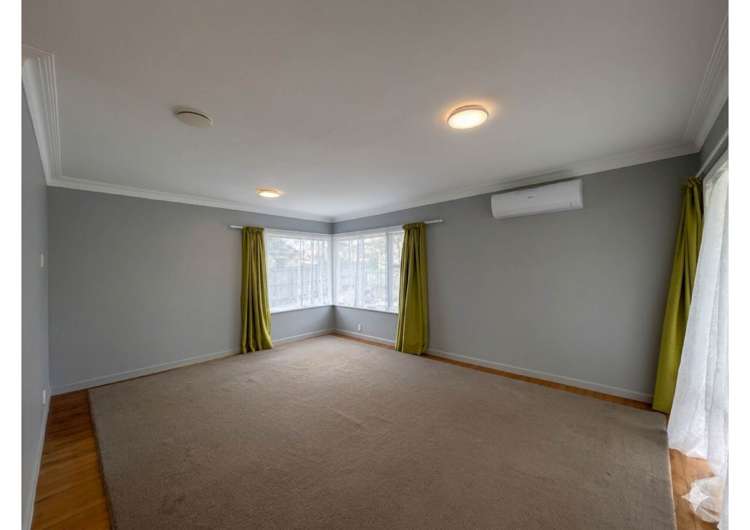 Plunket Avenue Papatoetoe_2