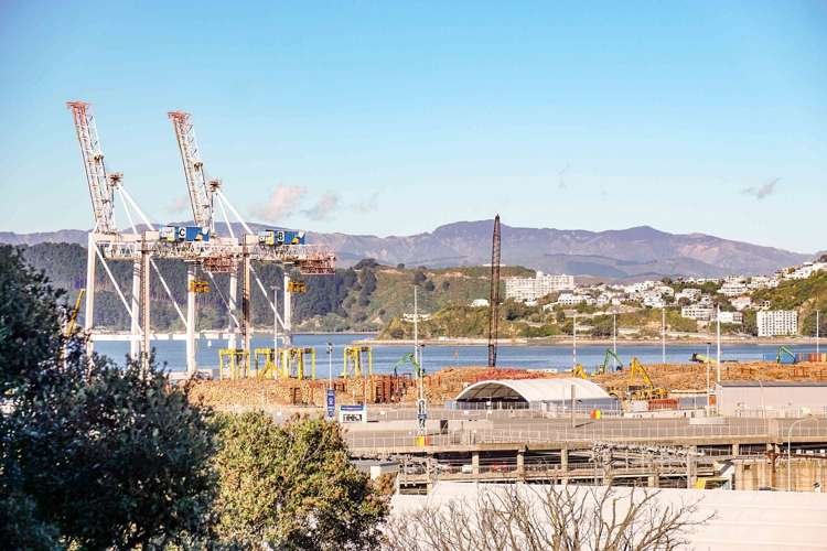 6C/163 Thorndon Quay Pipitea_13