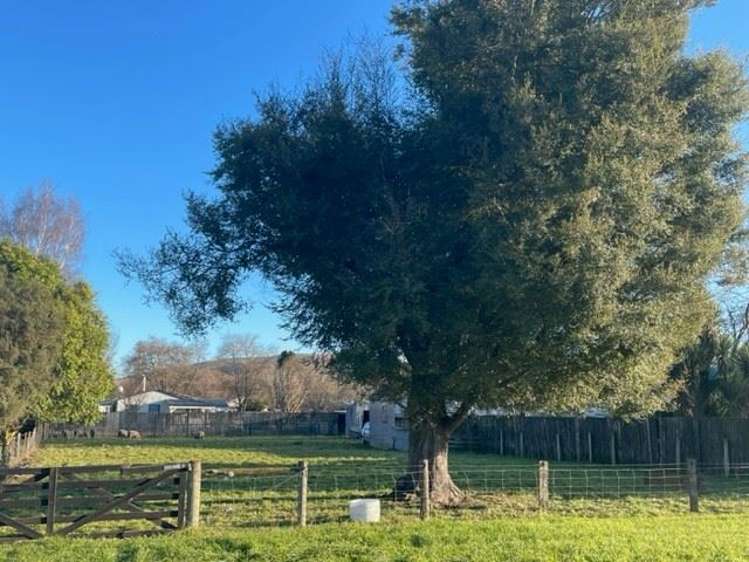 10 Balmoral Street Culverden_6