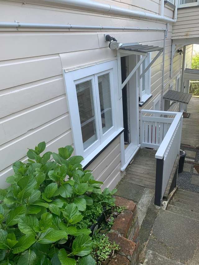 3B McKenzie Terrace Te Aro_1