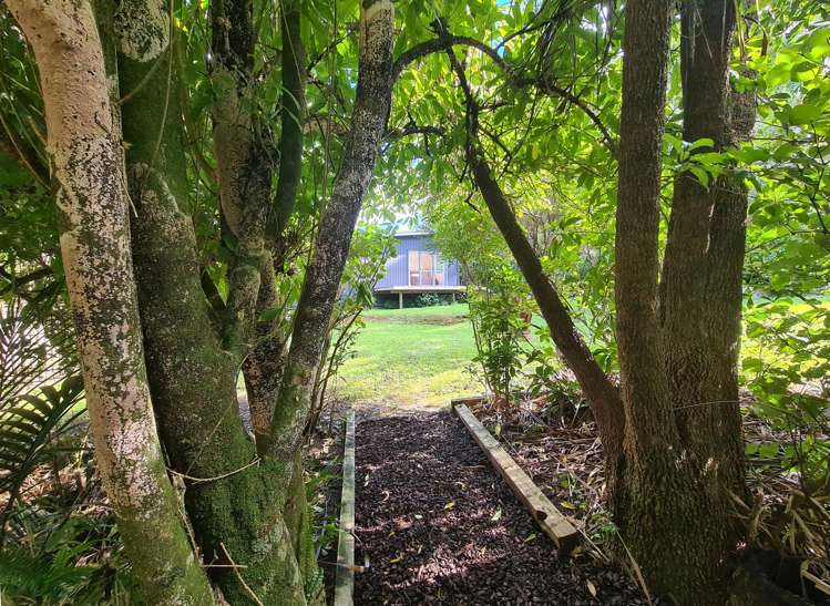 70 Driving Creek Road_4