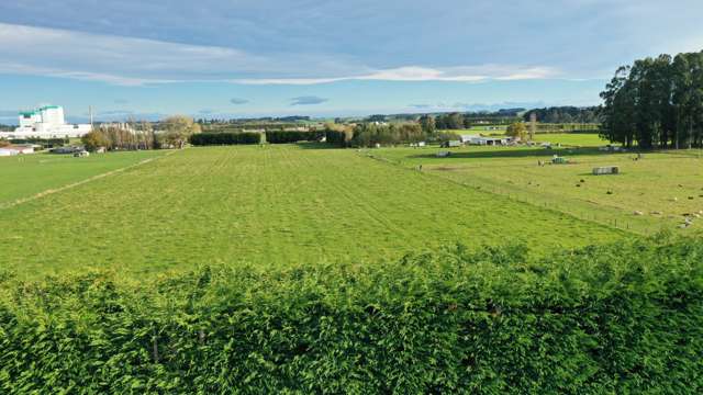 85 George Street Edendale_4