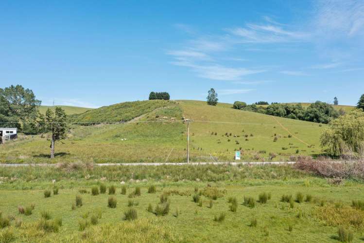 Waitahuna Gully Road Waitahuna_8