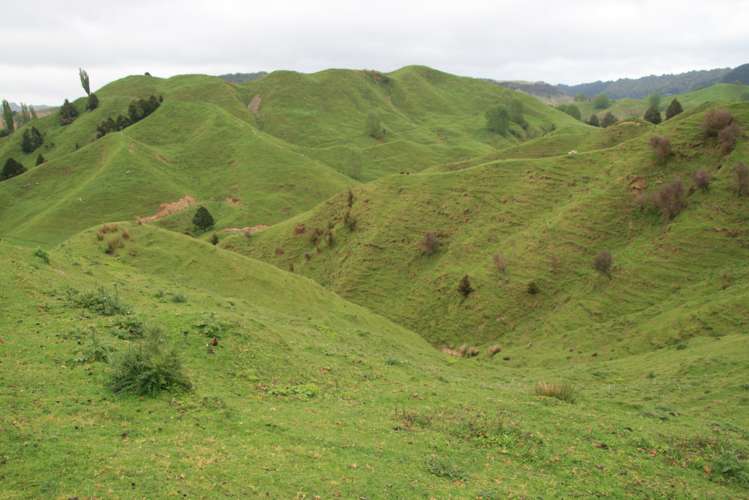 200 Tahora Road Tahora_5