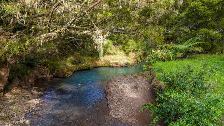 373 Fern Flat Road Peria_10