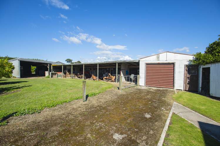 75 Brown Road Ormond_16