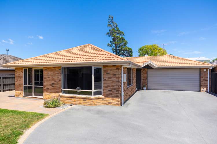 3a Dillon Street Blenheim Central_14