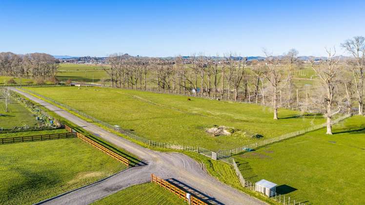 3A JG Wilson Drive Waipukurau_26
