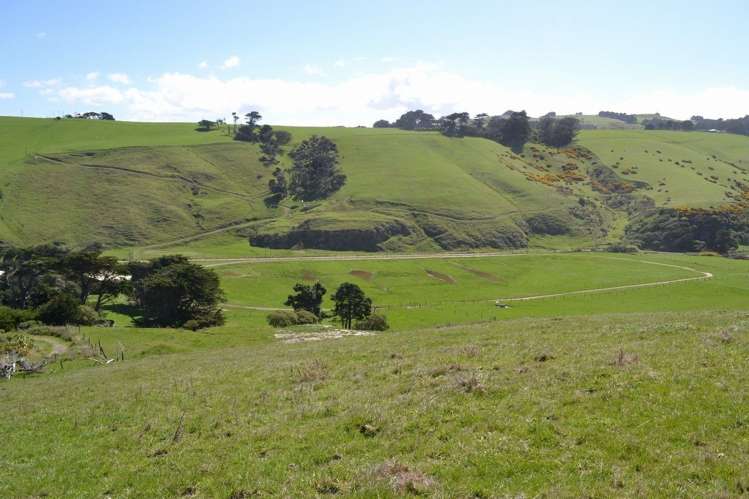 42 Southdale Road Ocean Grove_17