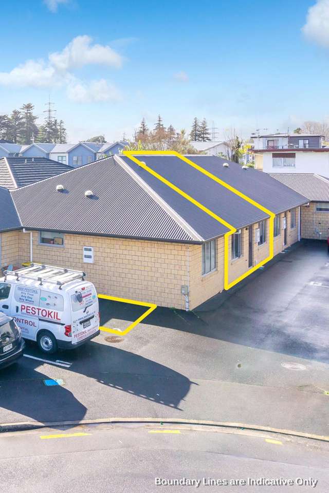 2/3 June Place Hamilton East_3
