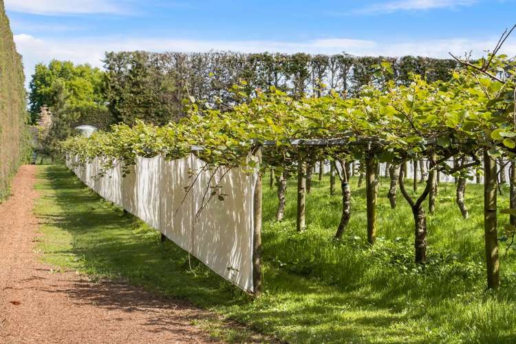 76 Pukakura Road Katikati_28