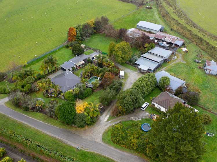 65 Bruce Road Ormond_12