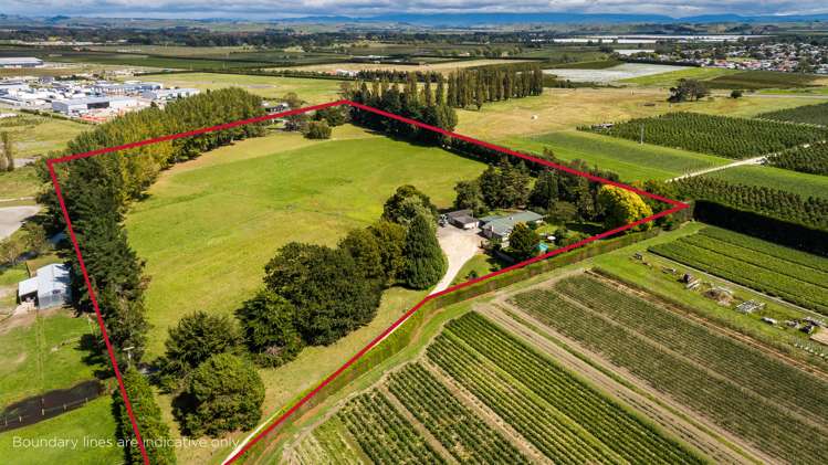 59 York Road Longlands_19