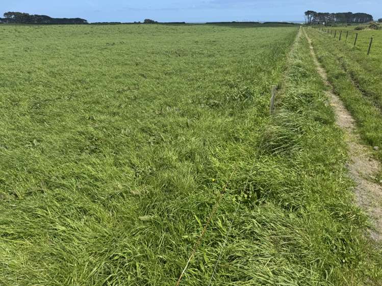 4782 South Road Opunake_7