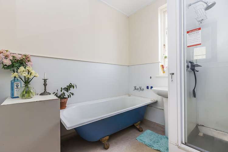 19 Palmer Street Aro Valley_15