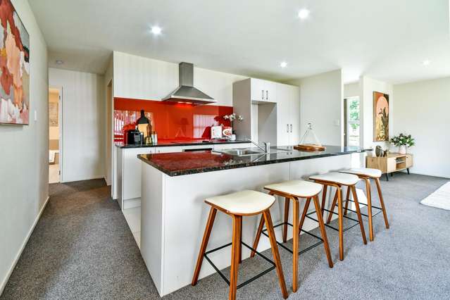 13 Pipipi Crescent Takanini_2