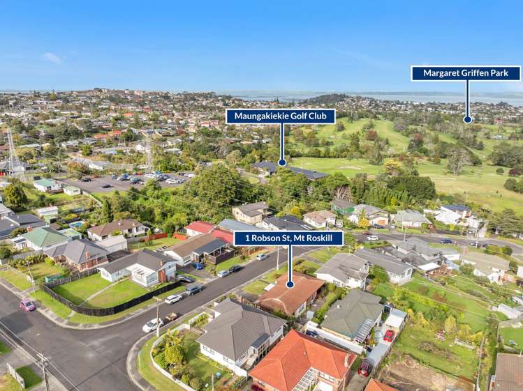 1 Robson Street Mt Roskill_16