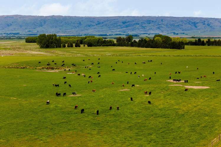 Pendella Farm, 72 Gibson Road Ranfurly_3