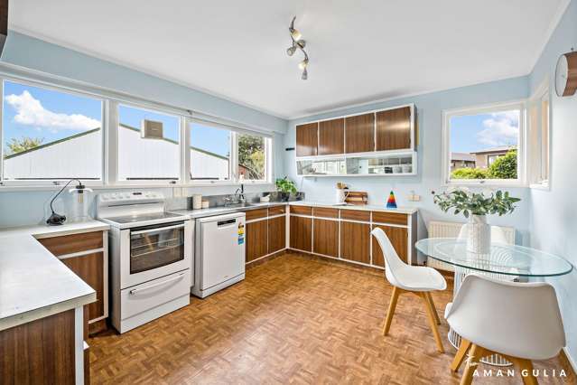 1 Freeland Avenue Mount Roskill_3