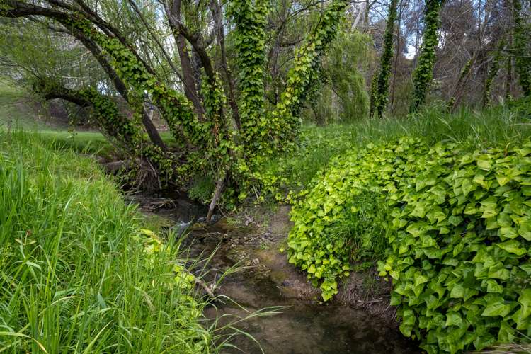 20 Aintree Road Havelock North_19