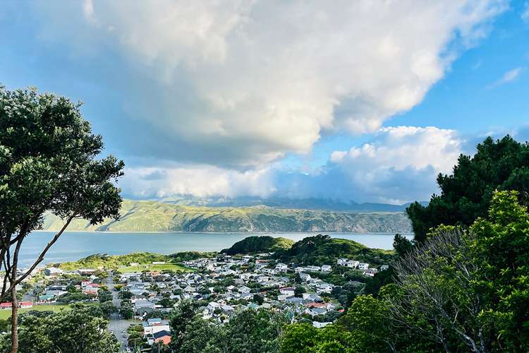 27 Beacon Hill Road Strathmore Park_17