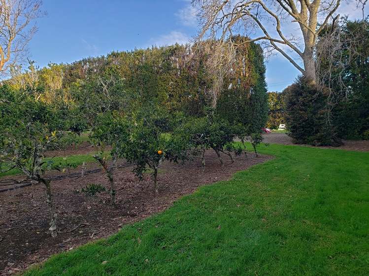 17 Maraenui Drive Kerikeri_7