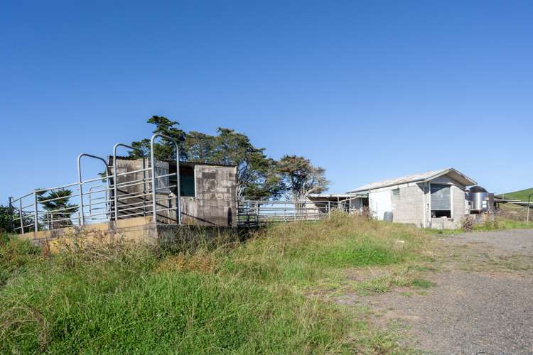 1072 Tahuna Road Waiterimu_6