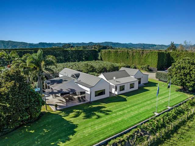 304 Tablelands Road Opotiki_1