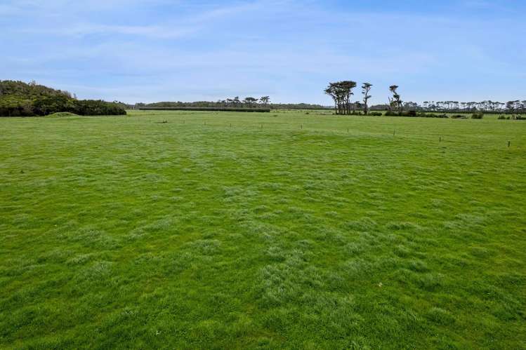 192 Upper Kina Road Oaonui_18