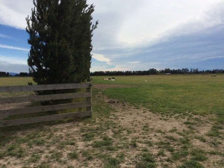 782 Miles Road Kirwee_14