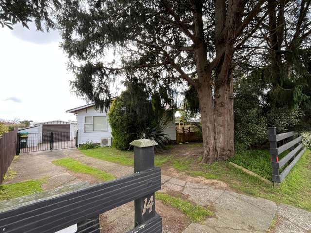 14 Strathmore Avenue, Levin
