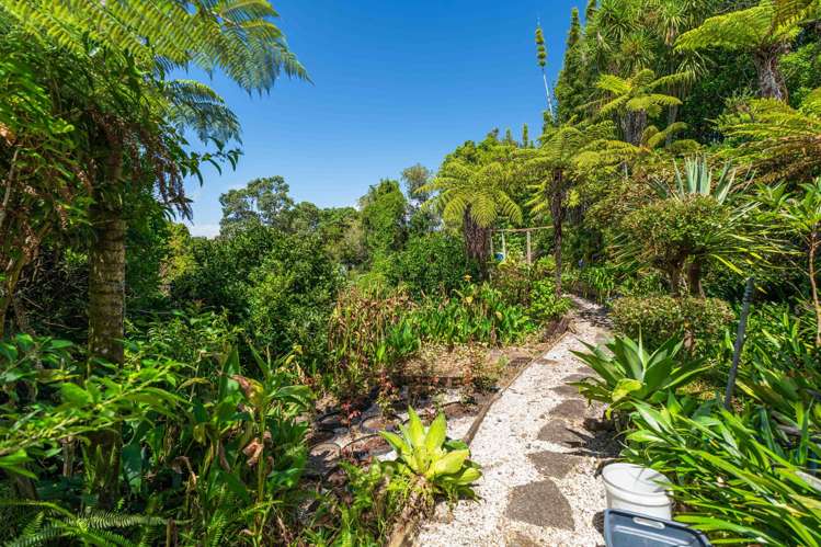 402 Hillsborough Road Mount Roskill_44