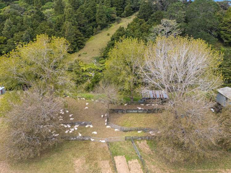 334A Komokoriki Hill Road Makarau_15