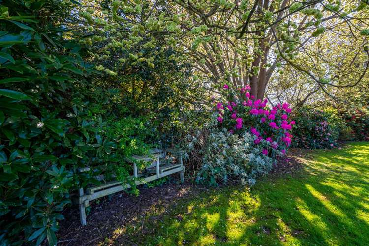 74a Cox Street Geraldine_18