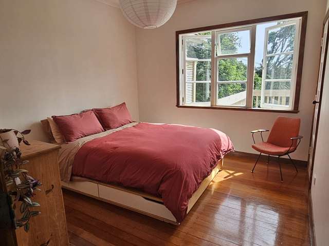 6 Simmonds Avenue Mount Roskill_3