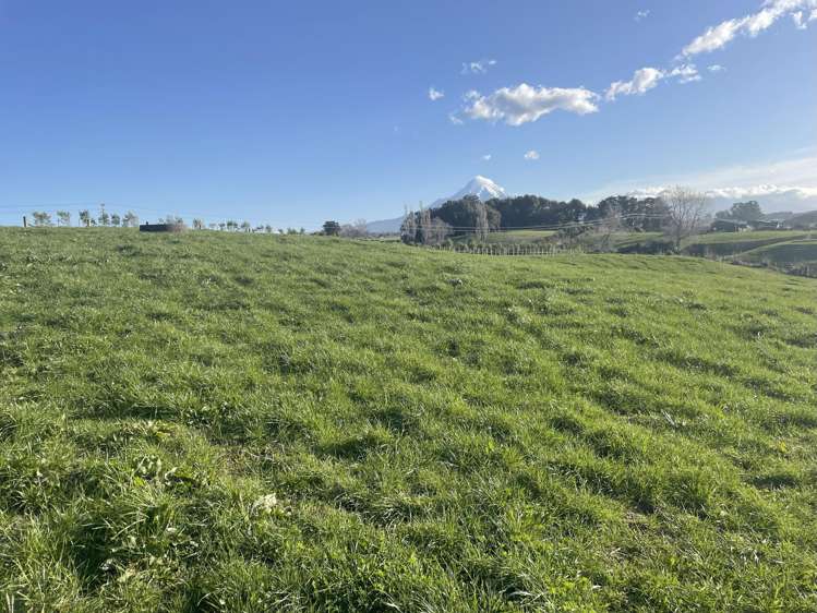 369 Tarata Road Inglewood_11