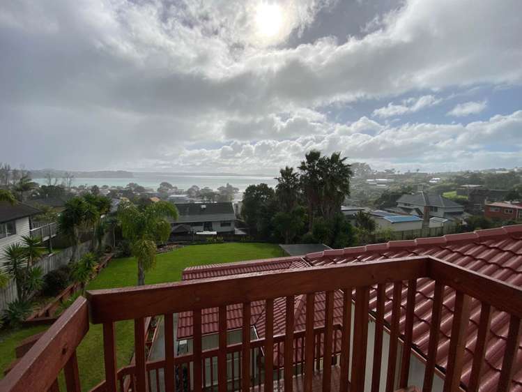 968 Whangaparaoa Road Manly_9