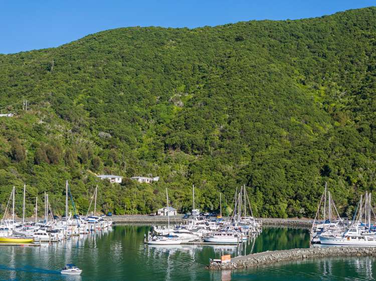 45 - 55 Marina Drive Waikawa_3