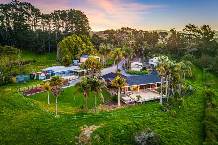 70b Coulter Road Henderson Valley_18