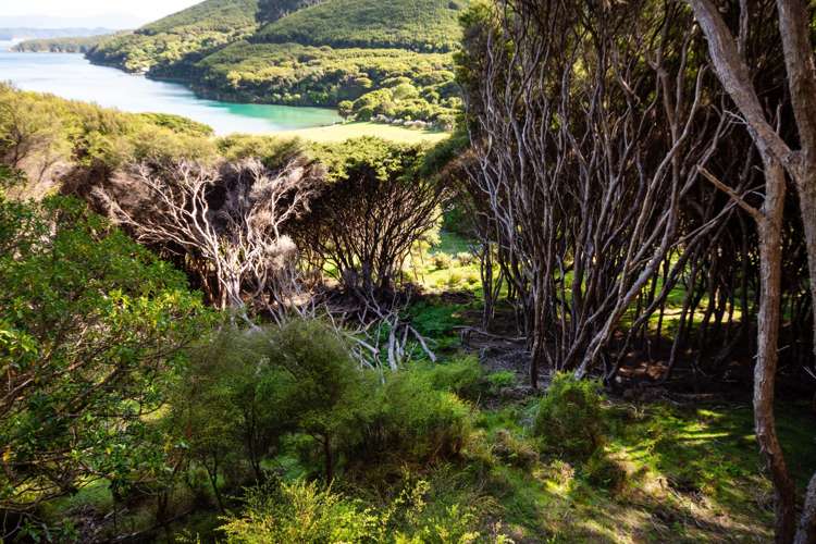 Lot 4 + 5 Te Aroha Bay, Otanerau Bay Marlborough Sounds_37