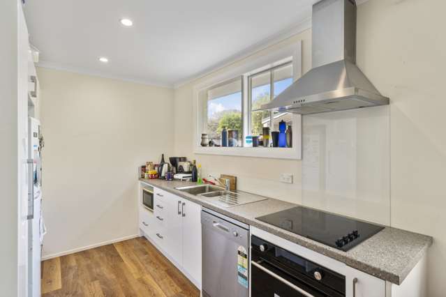 84b Waterloo Road Lower Hutt_1