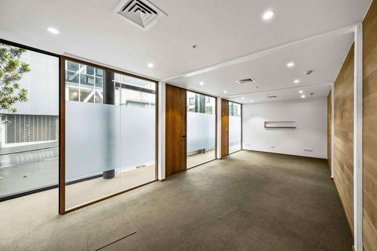 5 Crummer Road Grey Lynn_10