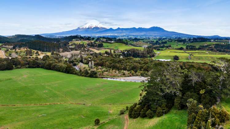 574 Smart Road Hillsborough_1