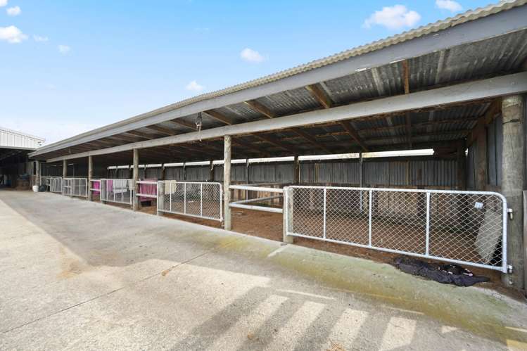 59 Racecourse Road Cambridge_38