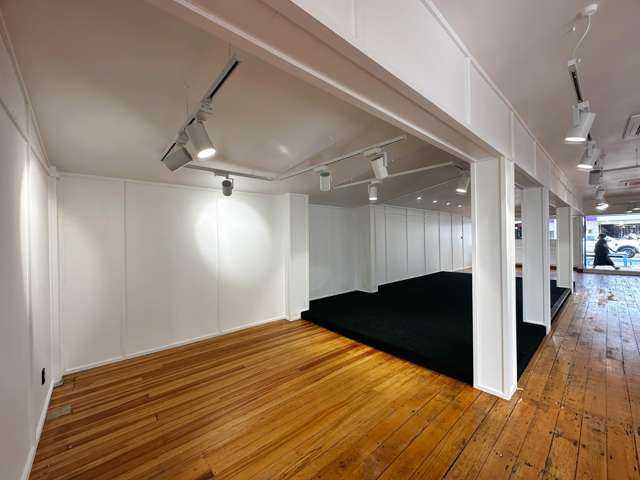 53 Hurstmere Road Takapuna_2