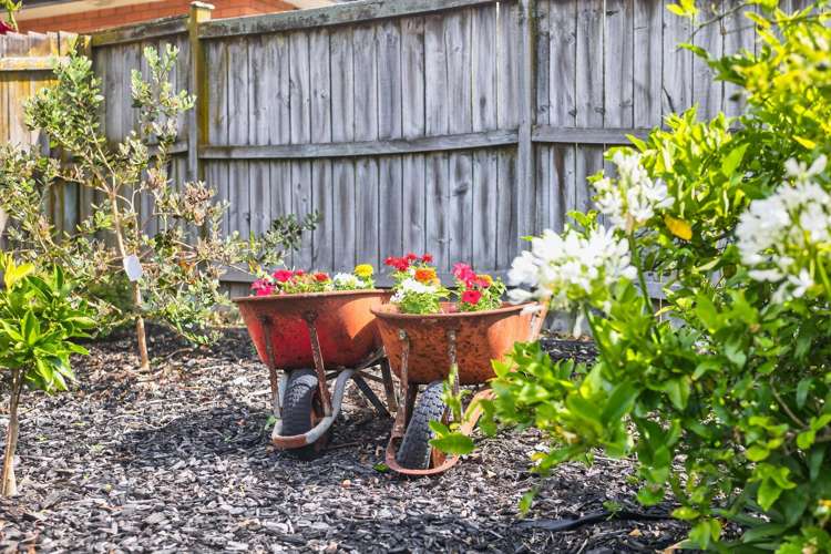 20 Cartmel Avenue Massey_21