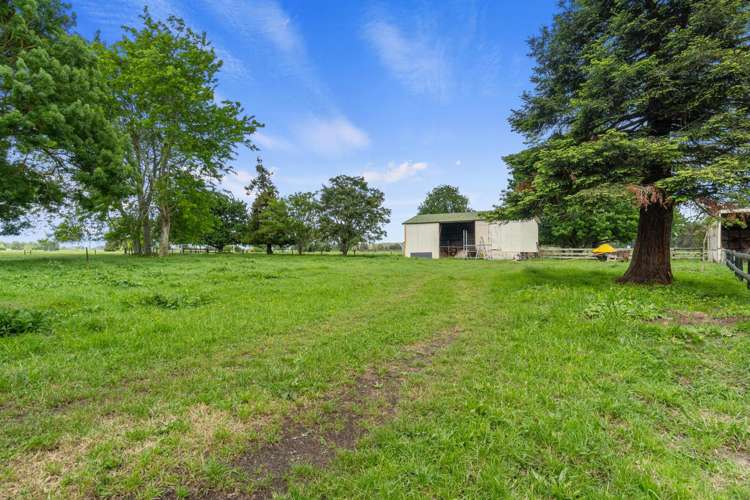 152 Piako Road Gordonton_26