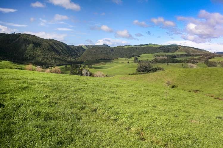 2511 Kopu Hikuai Sh25a Road Hikuai_9